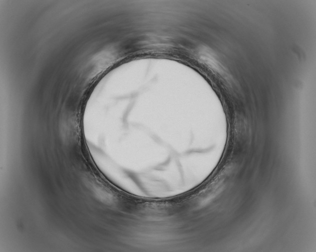 X0000111931354200909071229