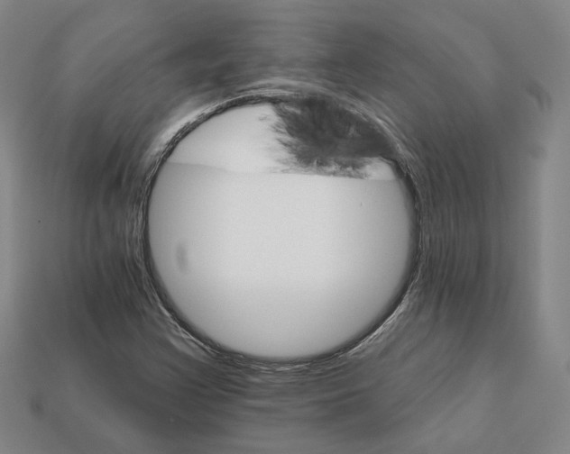 X0000111931355200909071229