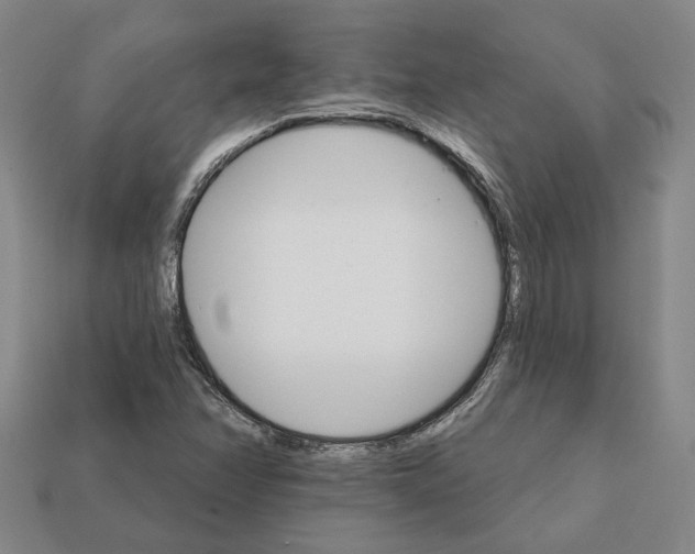 X0000111931358200909071229