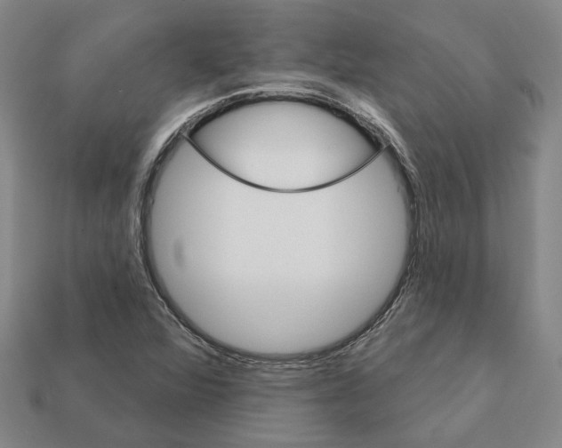 X0000111931360200909071229