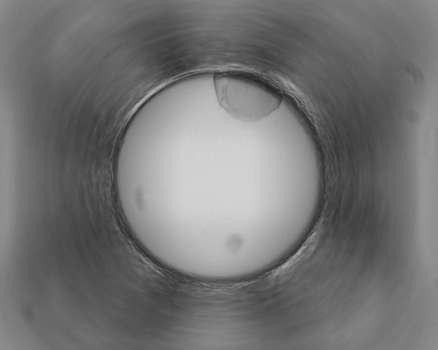 X0000111931361200909071229