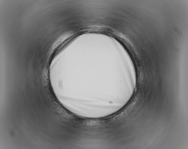 X0000111931362200909071229