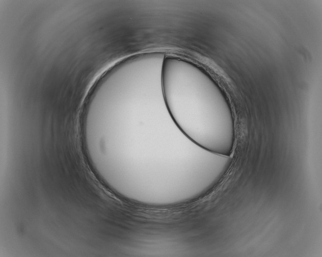 X0000111931364200909071229