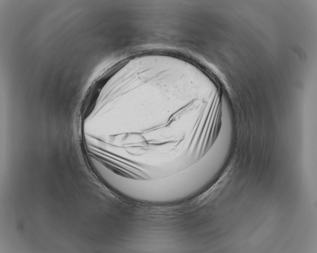 X0000111931365200909071229