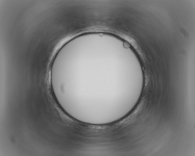 X0000111931366200909071229