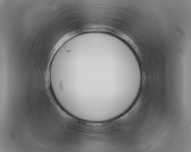 X0000111931370200909071229