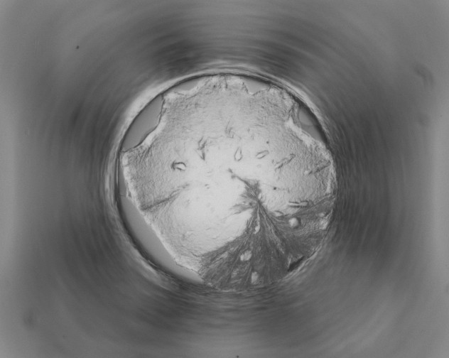 X0000111931371200909071229