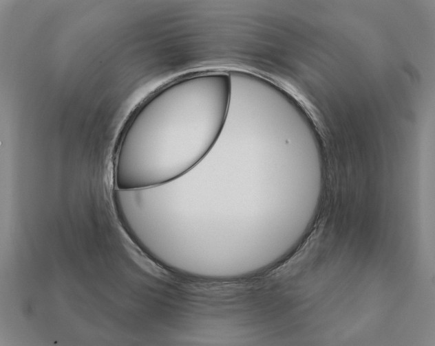 X0000111931372200909071229