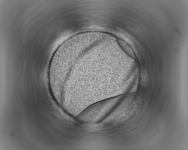 X0000111931373200909071229