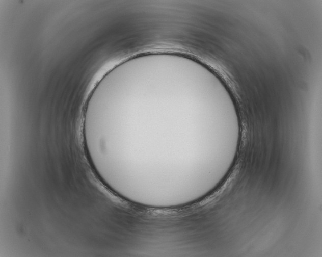 X0000111931374200909071229