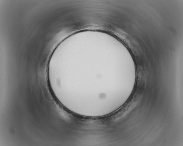 X0000111931375200909071229