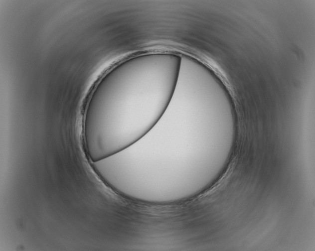 X0000111931376200909071229