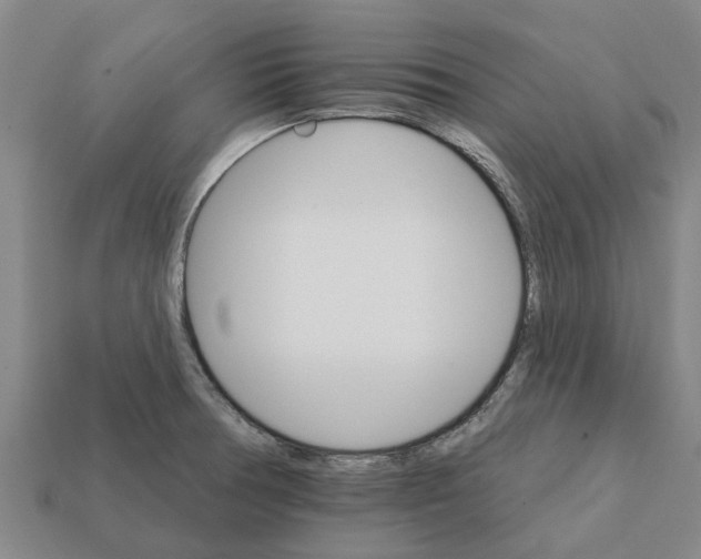 X0000111931378200909071229