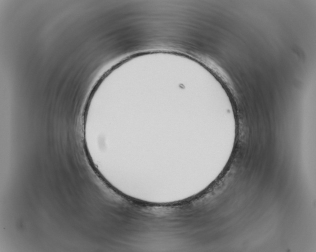 X0000111931380200909071229