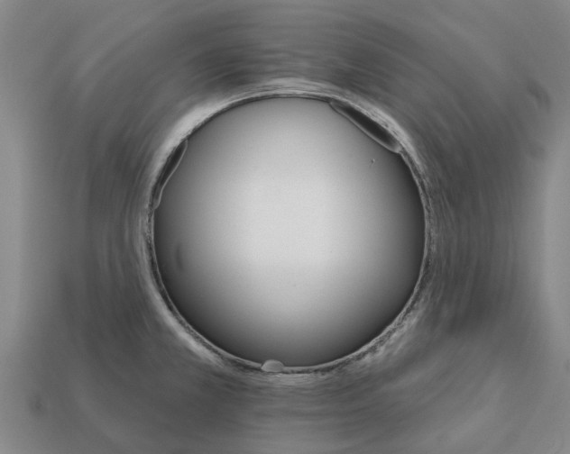 X0000111931381200909071229