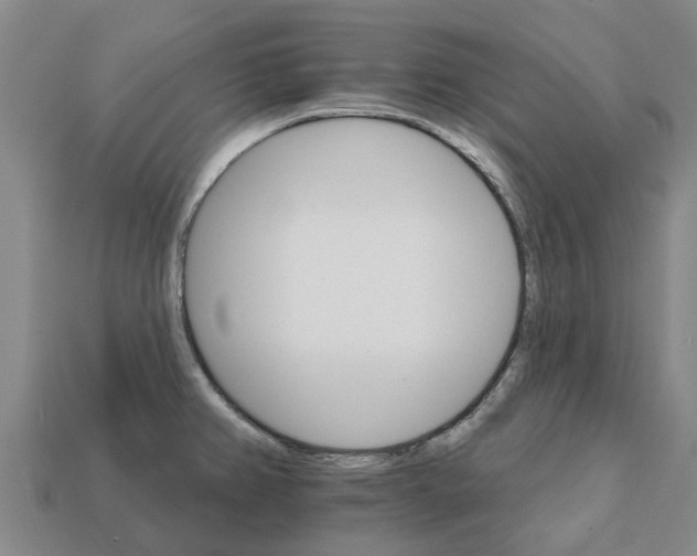 X0000111931382200909071229