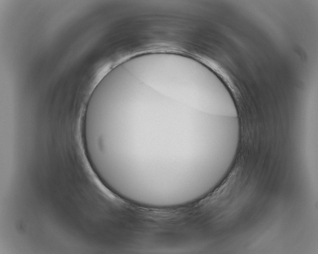 X0000111931383200909071229