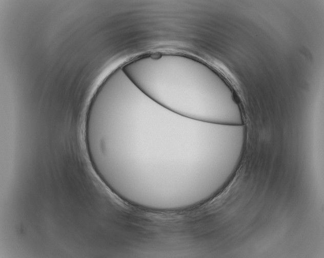 X0000111931384200909071229