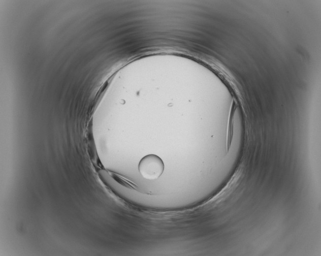 X0000111931385200909071229