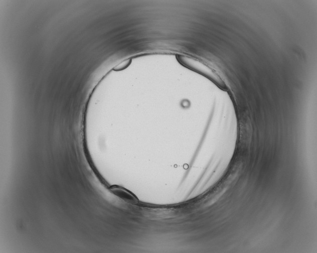 X0000111931387200909071229