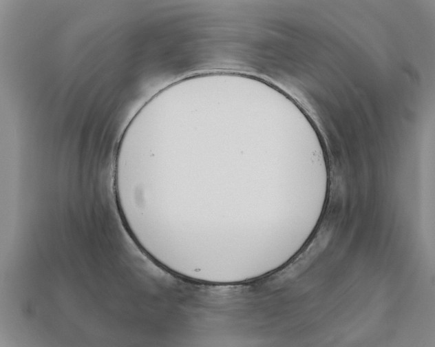 X0000111931390200909071229