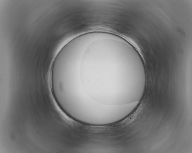 X0000111931391200909071229