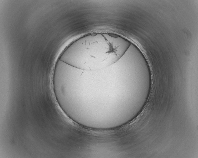 X0000111931392200909071229