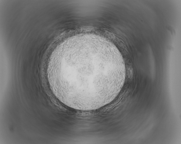 X0000111931393200909071228