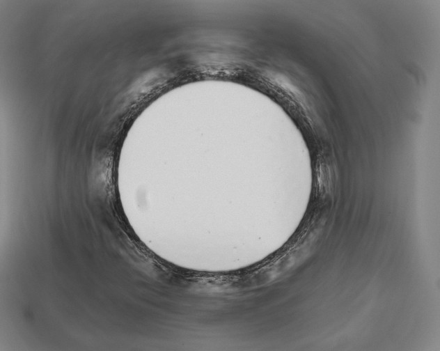 X0000111931396200909071228