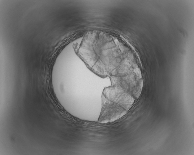 X0000111931397200909071228