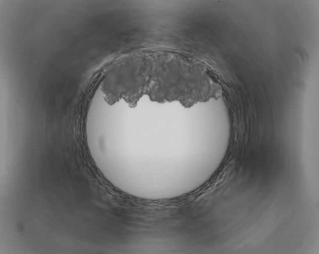 X0000111931398200909071228