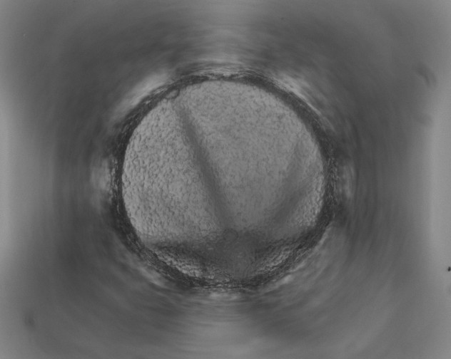 X0000111931399200909071228