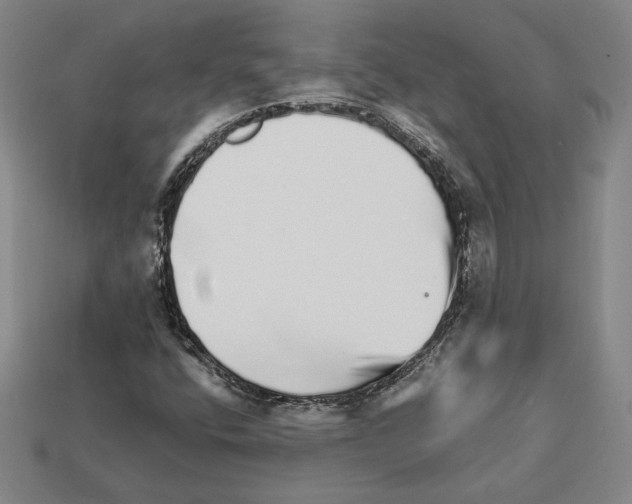 X0000111931400200909071228