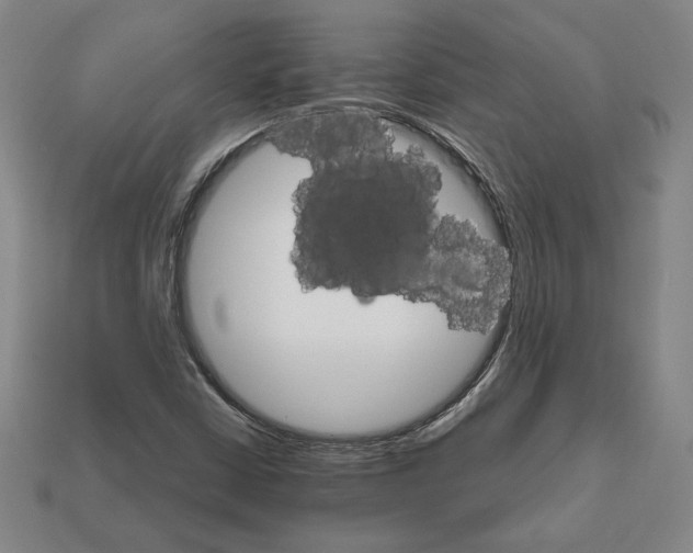 X0000111931402200909071228