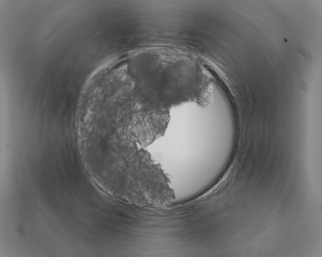 X0000111931403200909071228