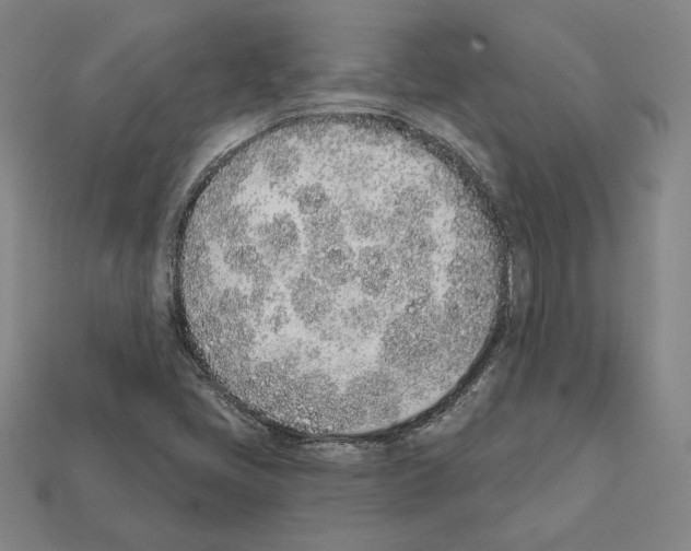 X0000111931405200909071228