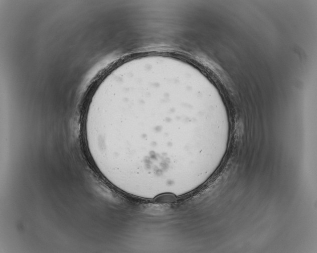 X0000111931406200909071228