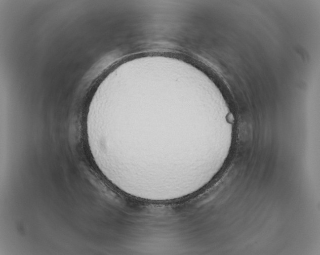 X0000111931407200909071228