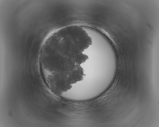 X0000111931408200909071229