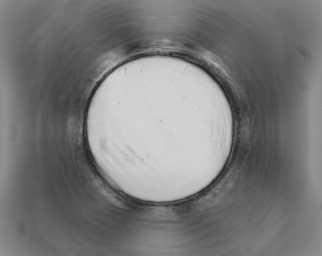 X0000111931409200909071229