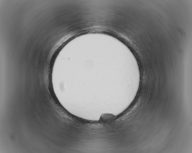 X0000111931410200909071229