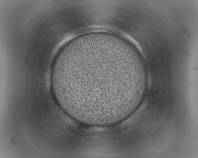 X0000111931411200909071229