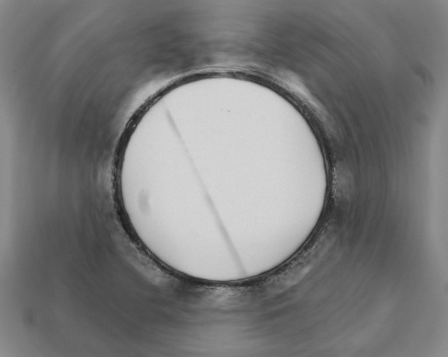 X0000111931412200909071229