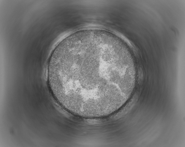 X0000111931413200909071229