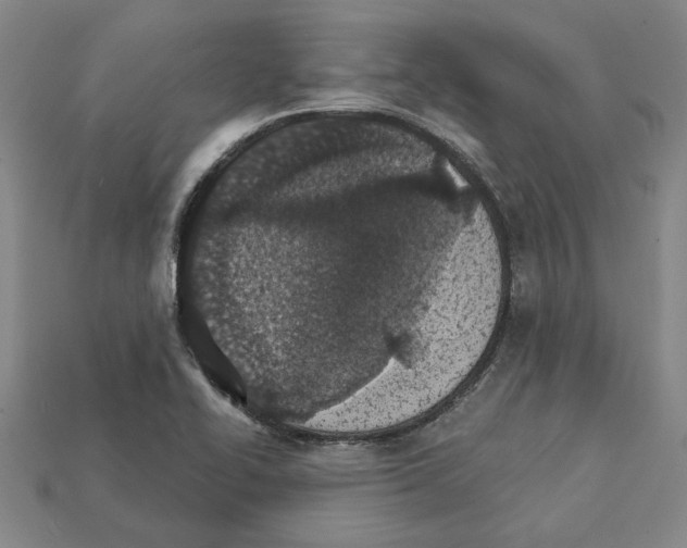 X0000111931414200909071229