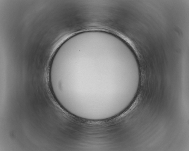 X0000111931415200909071229