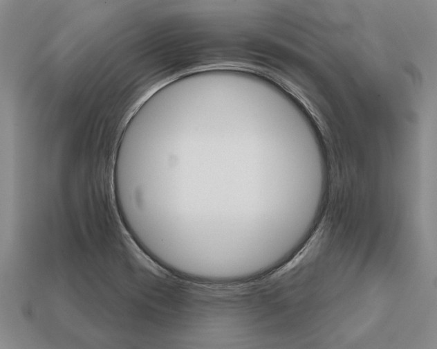 X0000111931417200909071229