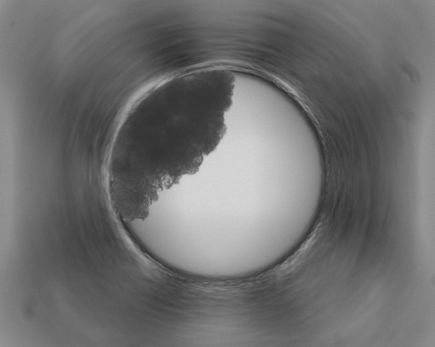 X0000111931418200909071229