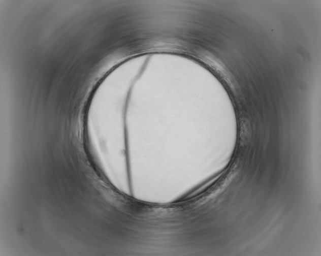 X0000111931419200909071229