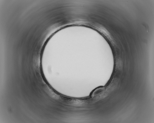 X0000111931420200909071229